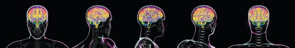 Human brain shown from multiple angles, 3D illustration Ilustración de archivo