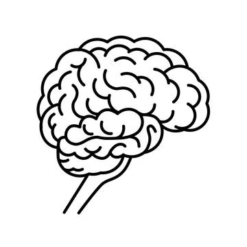 Human brain side view. Black line vector illustration. Stock Illustration
