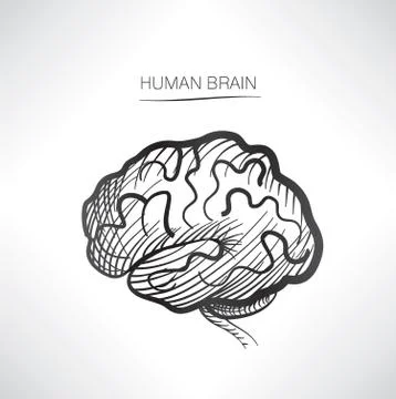 Human brain sign isolated. Internal organ anatomy. Medical icon Stock Illustration