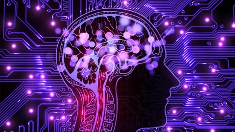 Human Brain Silhouette with Digital Circuitry and Neural Networks 4K 動画素材 339270490