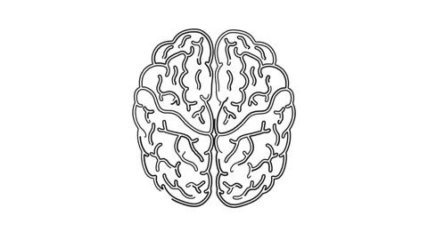 Human brain smart thinking hand drawn doodle whiteboard animation Stock Footage 264960645