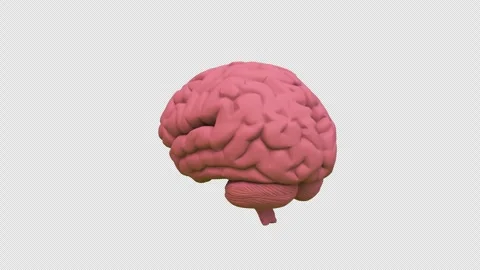 Human brain spinning icon artificial intelligence concept 3d animation vide.. Stock Footage 303038459
