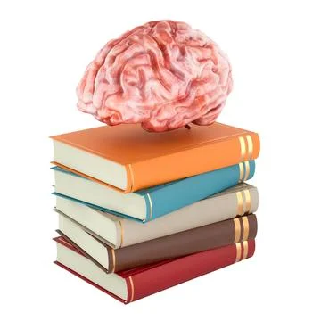 Human brain on stack of books, knowledge concept. 3D rendering Stock Illustration