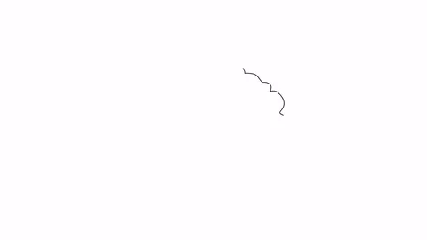 The human brain structure animation illustration Stock Footage 81389675