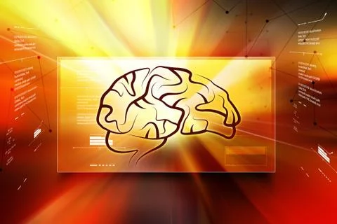 Human brain structure Stock Illustration