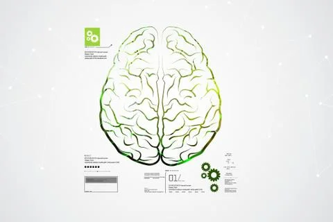 Human brain structure Stock Illustration