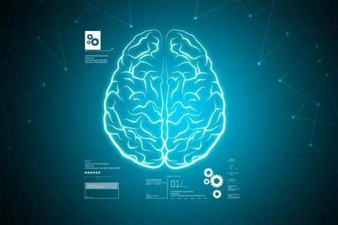 Human brain structure Stock Illustration