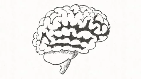 Human Brain Thinking and Intelligence Concept Hand Drawn Animation Stock Footage 342018150