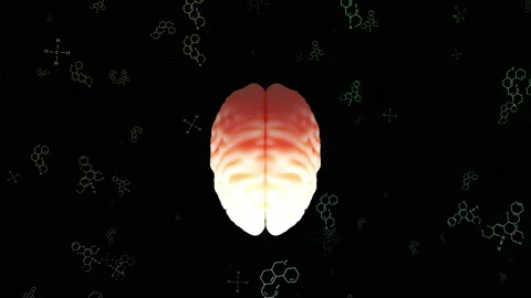 Human Brain Top View Biological scan with chemical symbols floating in the back Stock-Footage 170610865