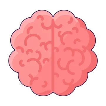 Human Brain Top View Icon Convolutions Of Human Stock Illustration