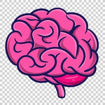 A human brain on a transparent background. Stock Illustration