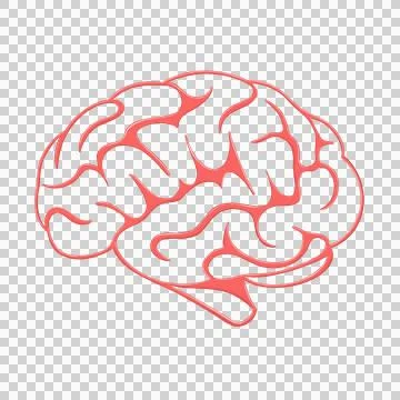 A human brain on a transparent background. Stock Illustration