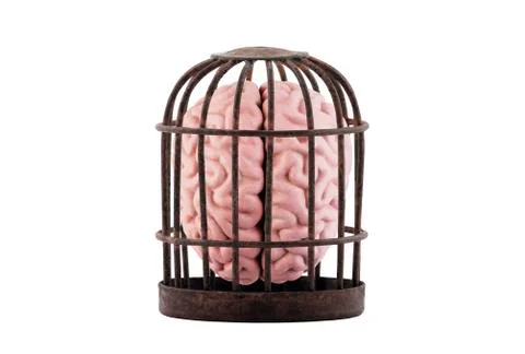 Human brain trapped in old rusty cage isolated on white. Free your mind concept. Stock Photos