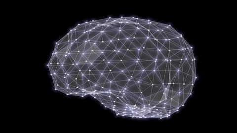 Human brain triangles grid rotation 3D rendering Stock Footage 111663959