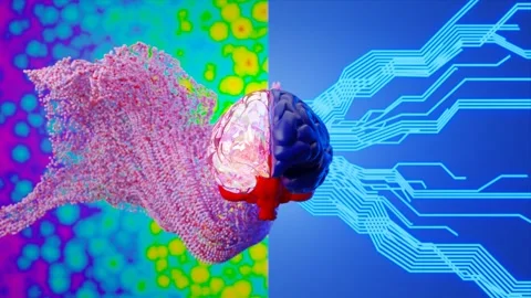 Human Brain with Two Different Parts Animation. Creativity and Logic Stock Footage 262990001