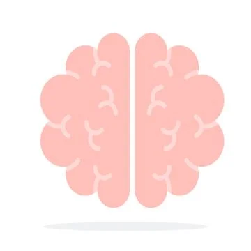 Human brain vector flat material design isolated object on white background. 스톡 일러스트