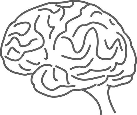 Human brain vector icon Stock Illustration