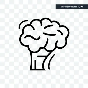 Human Brain vector icon isolated on transparent background, Human Brain logo  Stock Illustration