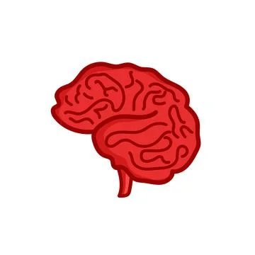 Human brain vector illustration Stock Illustration