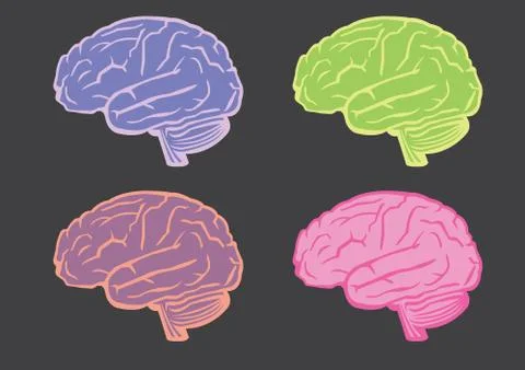 Human Brain Vector Illustration Set Stock Illustration