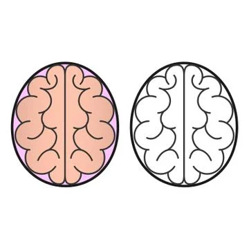 Human brain view from the top of the icon or concept for the logo. Stock Illustration