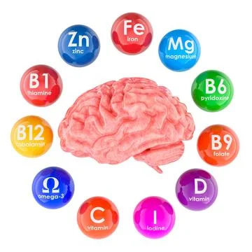 Human brain with vitamins, minerals and omega-3 necessary for cognitive fun.. 스톡 일러스트