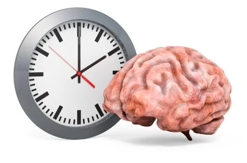 Human brain with wall clock, 3D rendering Stock Illustration