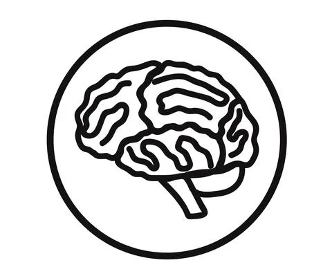 Human brain on a white background. Brain gyrus. Stock Illustration