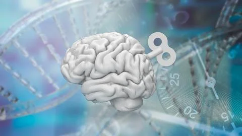 The Human brain with wind up for Medical or Technology concept 3d rendering. Stock Illustration