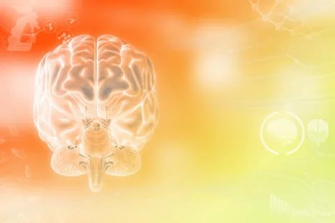 Human brain, wisdom analysis concept - modern texture Stock Illustration