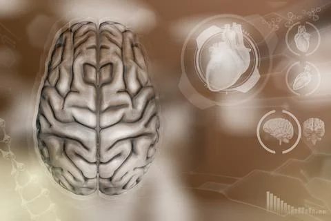 - human brain, wisdom discovery concept - very detail Illustrazione stock