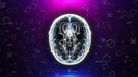 Human Brain X-Ray View from Top Stock-Footage 168562721