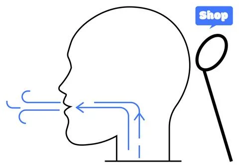 Human Breath Pathway with Visual Representation of Airflow イラスト素材