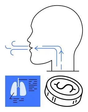 Human breathing process with respiratory system and financial consideration.. Stock Illustration
