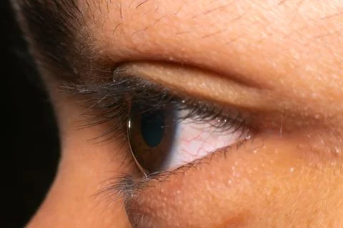 Human Brown Eye Macro Closeup Detail Stock Photos