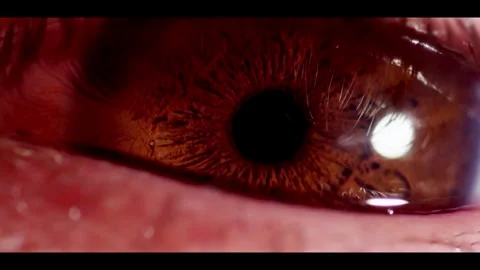 Human brown eye opens and squints showing iris textures Stock Footage 329752992