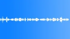 HUMAN, BRUSHSound Effect