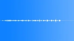 Human brush teeth Sound Effect