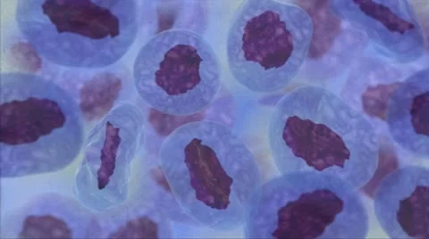 Human cancer cells in blue Stock Footage