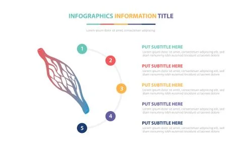 Human capillary infographic template concept with five points list and variou Stock Illustration