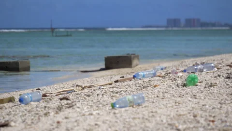 Human carelessness in the form of discarded plastic on a beach holiday leads to Stock Footage 223952841