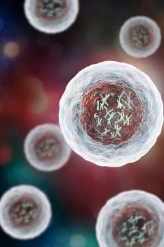 Human cell with chromosomes Stock Illustration