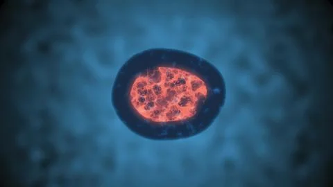 Human cell dividing with glowing nucleus Stock Illustration