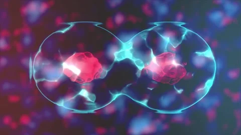 Human Cell Division under a microscope with animation video. Cell division... Stock Footage 246357662