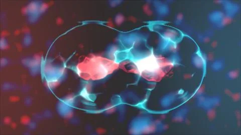 Human Cell Division under a microscope. Cell division. Biology concept.  3d.. Foto stock