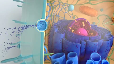 Human Cell Inner Structure Closeup Stock Footage 101732595