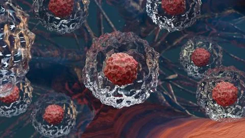 Human cell or Embryonic stem cell, Cells of the body under a microscope Illustrazione stock