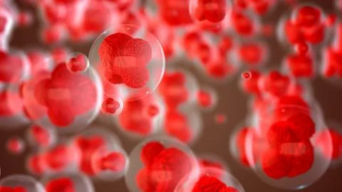 Human cell or Embryonic stem cells Illustrazione stock