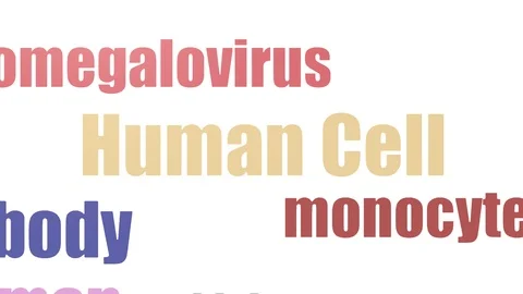 Human Cell Tagcloud Animated Isolated Stock Footage 107243589