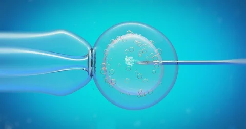 Human cell under microscope Stock-Footage 129455251